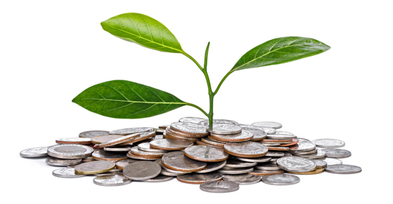 Financial sustainability and your nonprofit