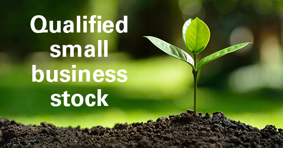 Consider the tax advantages of investing in qualified small business stock