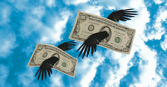Preventing phoenix companies from taking flight with your money