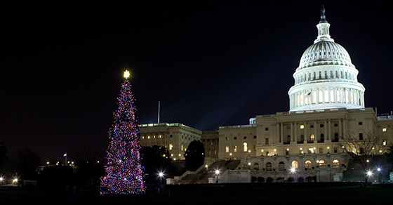 Congress gives a holiday gift in the form of favorable tax provisions