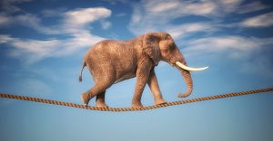 Walking a tightrope? ERM can help