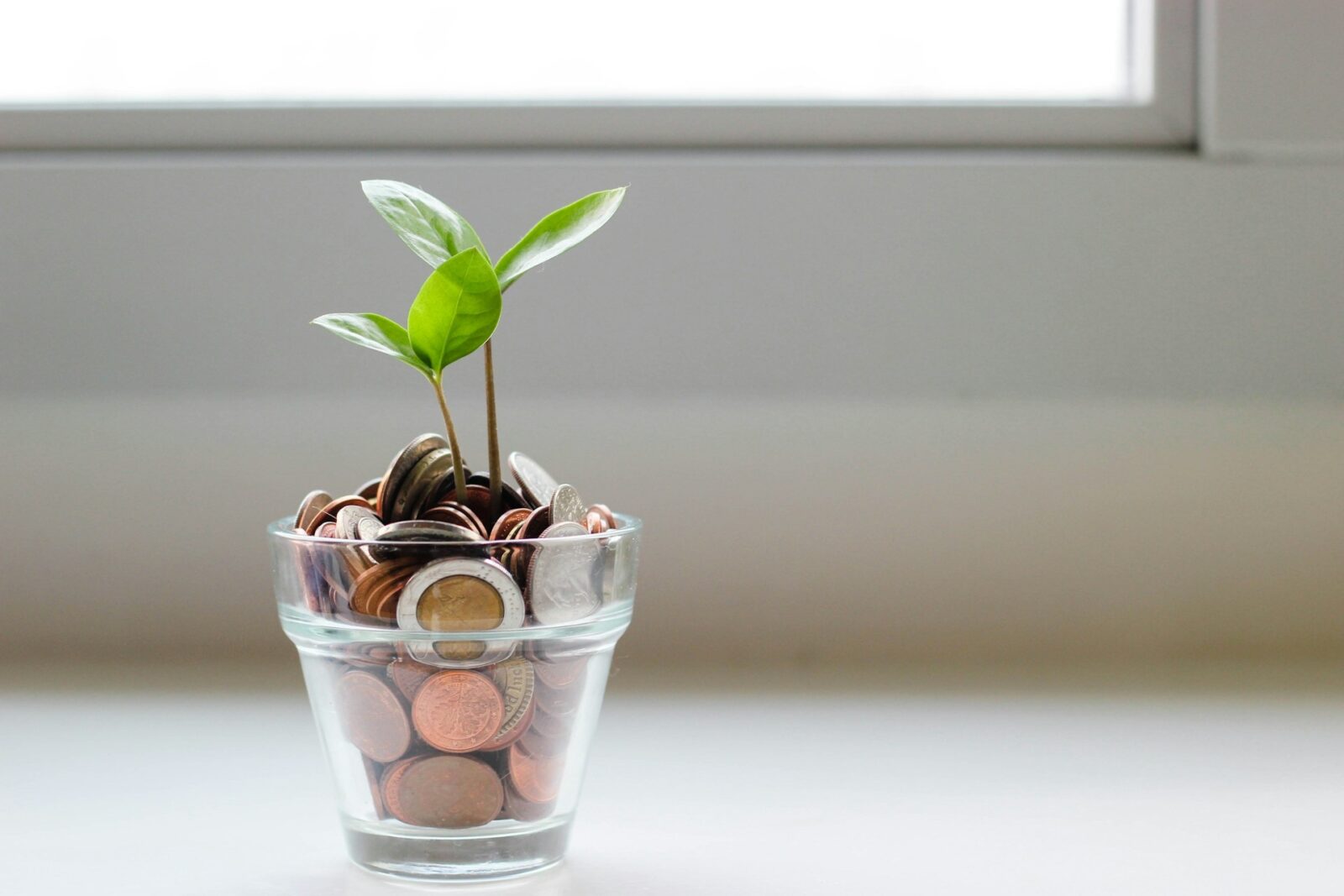 Kids Investment