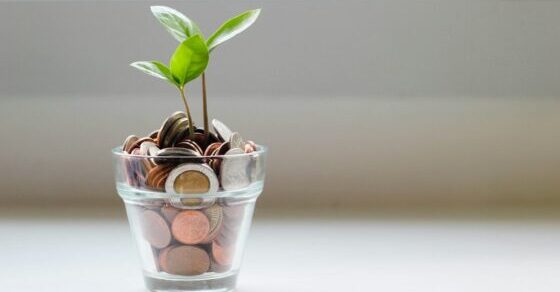 Kids Investment