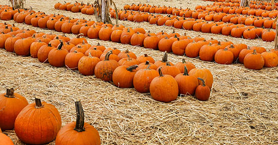 4 tips to help seasonal businesses enhance cash-flow management