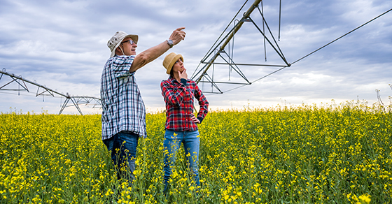 Prepare a successor to lead your family business